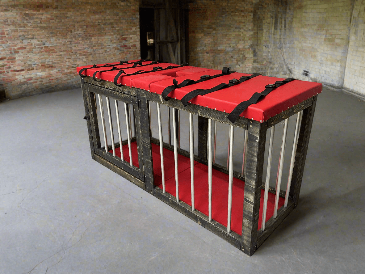 2 - in - 1 Sex Bench and Cage - Explore Boundless Pleasure! - BDSMWoody